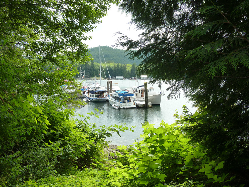 P1000768 lagoon cove marina