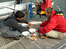 P1000816 crab for breakfast